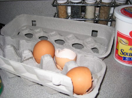 empty-eggs.jpg