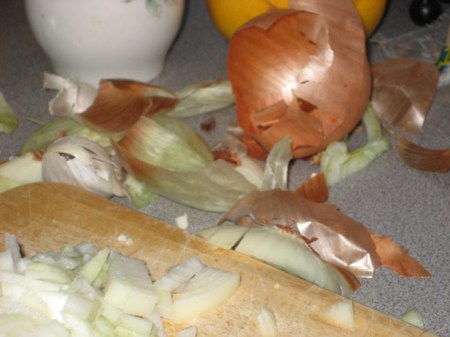 onion-detritus