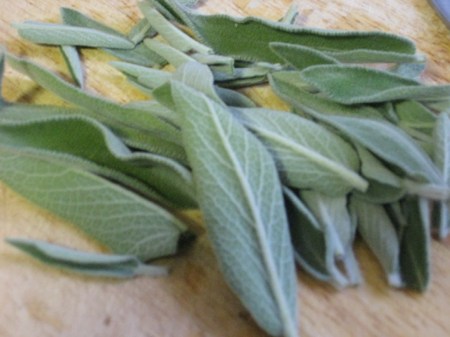 sage-leaves