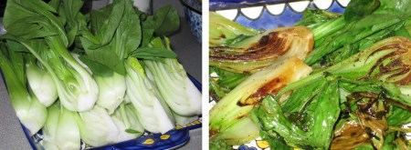 bok-choi-composite