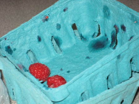 raspberry carton