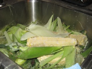 corn husks