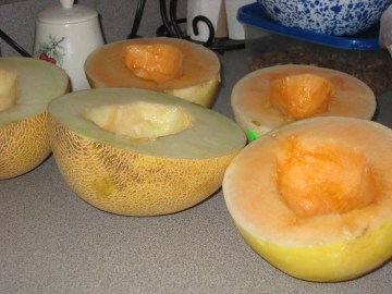 halved melons